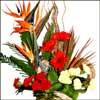 Fragrance Mist - Click here to View more details about this Product